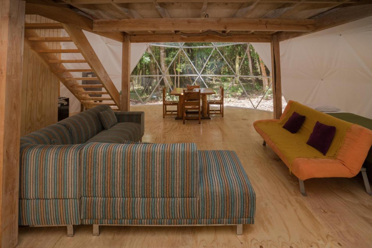 Cabanas Ensenada Bosque Nativo Exterior foto