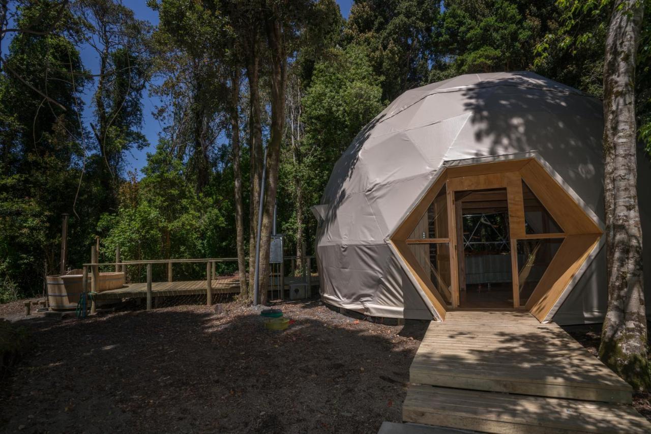 Cabanas Ensenada Bosque Nativo Exterior foto
