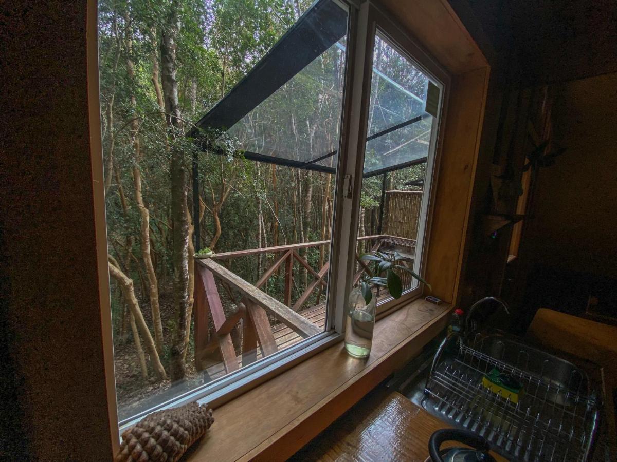 Cabanas Ensenada Bosque Nativo Exterior foto