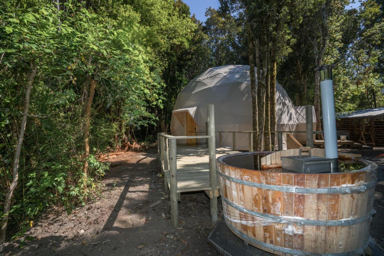 Cabanas Ensenada Bosque Nativo Exterior foto