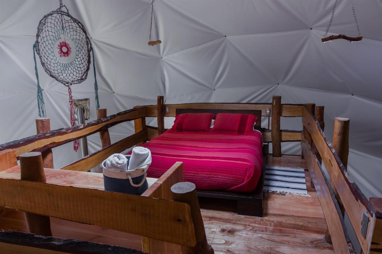Cabanas Ensenada Bosque Nativo Exterior foto