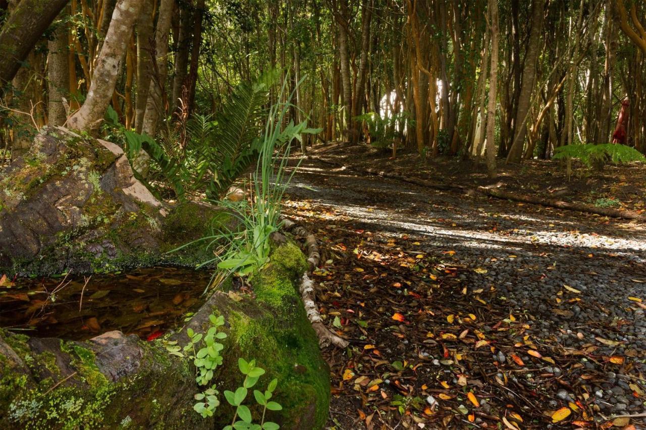 Cabanas Ensenada Bosque Nativo Exterior foto
